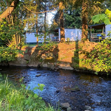 S-Chalet Camping Mit Comfort Im Schwarzwald Steinach  Екстериор снимка