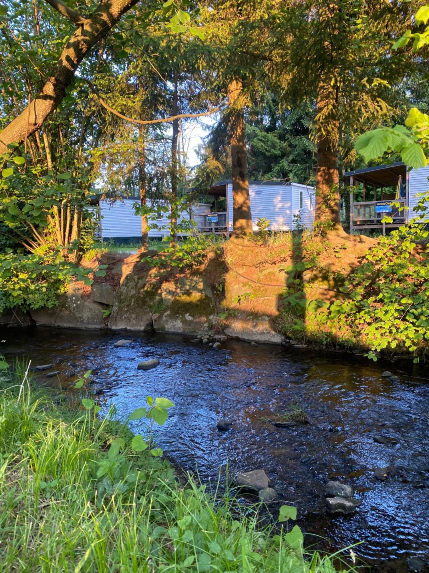 S-Chalet Camping Mit Comfort Im Schwarzwald Steinach  Екстериор снимка